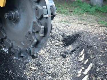 A powerful stump grinder mounted on a bulldozer, efficiently clearing a field of unwanted trees. The contrast between the machine's sleek yellow exterior and the scattered wood chips creates a striking visual.